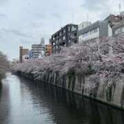 ヒメ日記 2026/03/30 20:13 投稿 とわ スーパークリスタル