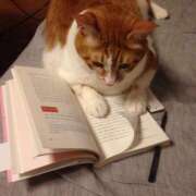 ヒメ日記 2026/04/09 14:33 投稿 とわ スーパークリスタル