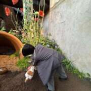 ヒメ日記 2026/04/17 21:53 投稿 とわ スーパークリスタル