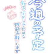 ヒメ日記 2026/06/08 07:48 投稿 葛西小萩 お姉さんCLUB