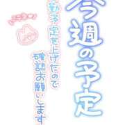 ヒメ日記 2026/06/15 07:33 投稿 葛西小萩 お姉さんCLUB