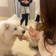 ヒメ日記 2025/02/03 14:06 投稿 らら 川崎ソープ　クリスタル京都南町