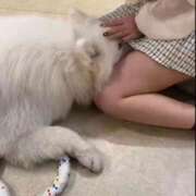 ヒメ日記 2025/02/14 18:27 投稿 らら 川崎ソープ　クリスタル京都南町