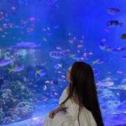 ヒメ日記 2025/05/06 21:07 投稿 らら 川崎ソープ　クリスタル京都南町