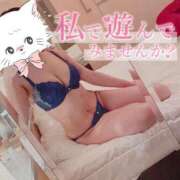 ヒメ日記 2025/03/24 15:08 投稿 すず【新人・Gカップ】 ソープランド看護学院ディエックス