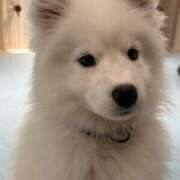 ヒメ日記 2025/04/04 22:48 投稿 すず【新人・Gカップ】 ソープランド看護学院ディエックス