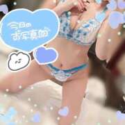 ヒメ日記 2026/04/28 10:08 投稿 すず【新人・Gカップ】 ソープランド看護学院ディエックス