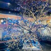 ヒメ日記 2025/01/21 13:45 投稿 ひがん 人妻倶楽部内緒の関係 春日部店