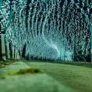 ヒメ日記 2025/01/29 21:55 投稿 ひがん 人妻倶楽部内緒の関係 春日部店