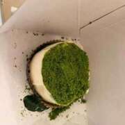 ヒメ日記 2026/01/02 15:05 投稿 ひがん 人妻倶楽部内緒の関係 春日部店