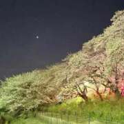 ヒメ日記 2026/04/02 22:45 投稿 ひがん 人妻倶楽部内緒の関係 春日部店