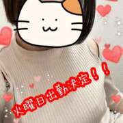 ヒメ日記 2025/08/11 18:08 投稿 ももか 熟女の風俗最終章 高崎店