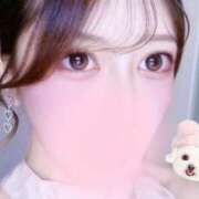 ヒメ日記 2025/04/19 10:05 投稿 ましろ コルドンブルー