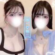 ヒメ日記 2025/04/22 10:06 投稿 ましろ コルドンブルー