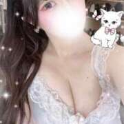 ヒメ日記 2025/04/27 07:55 投稿 ましろ コルドンブルー