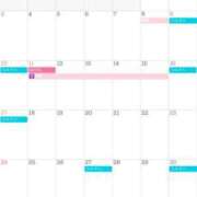 ヒメ日記 2025/07/24 18:55 投稿 ましろ コルドンブルー