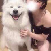 ヒメ日記 2025/08/16 09:55 投稿 ましろ コルドンブルー