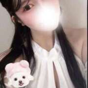 ヒメ日記 2025/10/11 09:35 投稿 ましろ コルドンブルー