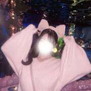 ヒメ日記 2025/11/22 09:25 投稿 ましろ コルドンブルー