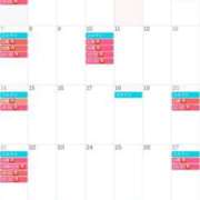 ヒメ日記 2025/12/04 13:05 投稿 ましろ コルドンブルー