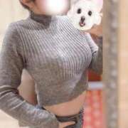 ヒメ日記 2026/01/09 10:05 投稿 ましろ コルドンブルー