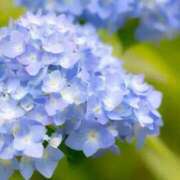 ヒメ日記 2025/06/07 22:22 投稿 りおな 人妻小旅行