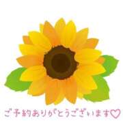 ヒメ日記 2025/08/02 20:37 投稿 りおな 人妻小旅行