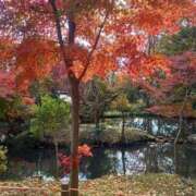 ヒメ日記 2025/12/20 20:37 投稿 りおな 人妻小旅行