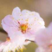 りおな こんばんは🌛 人妻小旅行