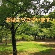 ヒメ日記 2024/09/18 06:00 投稿 すみれ 倶楽部愛