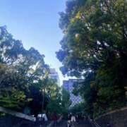 ヒメ日記 2024/12/11 14:34 投稿 すみれ 倶楽部愛