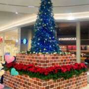 ヒメ日記 2024/12/12 05:22 投稿 すみれ 倶楽部愛