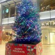 ヒメ日記 2024/12/13 05:00 投稿 すみれ 倶楽部愛