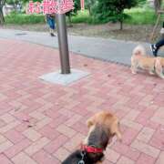 ヒメ日記 2024/12/13 14:07 投稿 すみれ 倶楽部愛