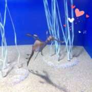 ヒメ日記 2024/12/13 15:40 投稿 すみれ 倶楽部愛