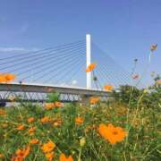 ヒメ日記 2024/12/15 14:07 投稿 すみれ 倶楽部愛