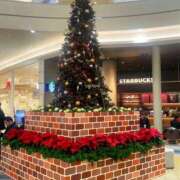 ヒメ日記 2024/12/16 20:03 投稿 すみれ 倶楽部愛