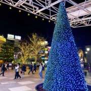 ヒメ日記 2024/12/25 23:54 投稿 すみれ 倶楽部愛