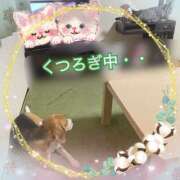 ヒメ日記 2024/12/29 18:14 投稿 すみれ 倶楽部愛