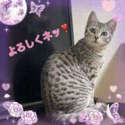 ヒメ日記 2025/01/21 15:37 投稿 すみれ 倶楽部愛