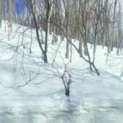 ヒメ日記 2025/01/22 17:46 投稿 すみれ 倶楽部愛