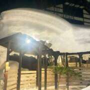 ヒメ日記 2025/01/22 22:38 投稿 すみれ 倶楽部愛