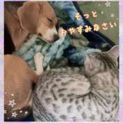 ヒメ日記 2025/02/07 23:09 投稿 すみれ 倶楽部愛