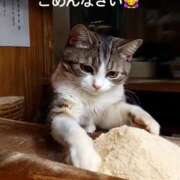 ヒメ日記 2025/02/25 17:48 投稿 すみれ 倶楽部愛