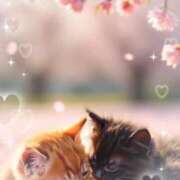 ヒメ日記 2025/03/13 14:21 投稿 すみれ 倶楽部愛