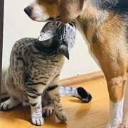 ヒメ日記 2025/03/14 16:37 投稿 すみれ 倶楽部愛