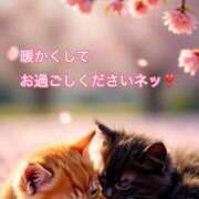 ヒメ日記 2025/03/16 09:51 投稿 すみれ 倶楽部愛