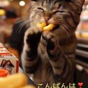 ヒメ日記 2025/03/19 22:27 投稿 すみれ 倶楽部愛