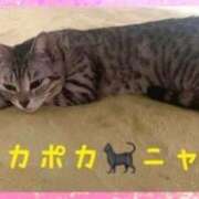 ヒメ日記 2025/03/20 07:14 投稿 すみれ 倶楽部愛