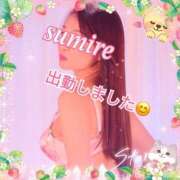 ヒメ日記 2025/03/21 16:48 投稿 すみれ 倶楽部愛